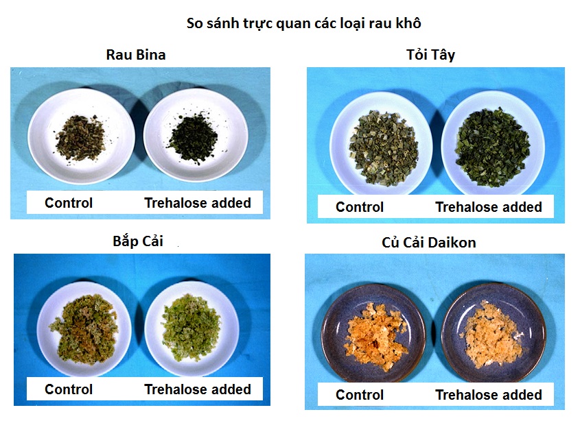 Đường Tảo